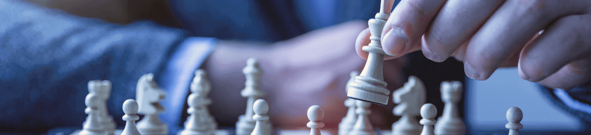 職業(yè)發(fā)展模塊